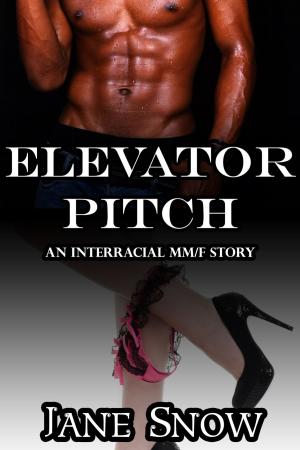 Cover of the book Elevator Pitch by Victoria Parker