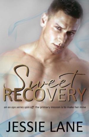 Cover of the book Sweet Recovery by Jessie Lane, Chelsea Camaron