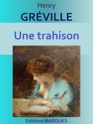 Cover of the book Une trahison by T. Combe