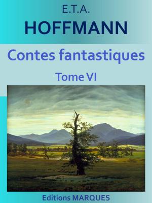 Cover of the book Contes fantastiques by Édouard Chavannes