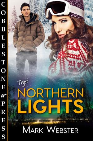 Cover of the book Northern Lights by Kerri-Leigh Grady