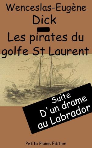 Cover of the book Les Pirates du Golfe St Laurent by James Fenimore Cooper, :A. J. B. Defauconpret traducteur