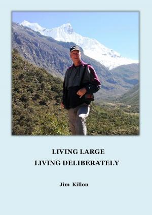 Cover of Living Large Living Deliberately