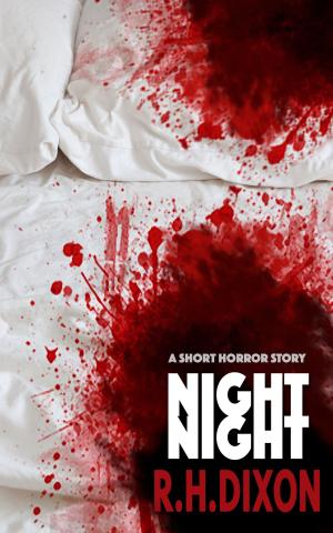 Cover of the book Night Night by Dimitri Kelly