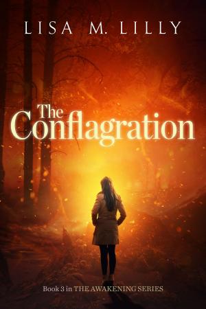 Book cover of The Conflagration