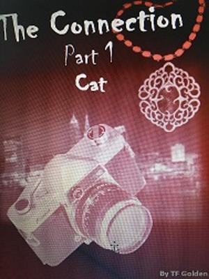 Cover of the book The Connection Part 1 CAT by Wando Wande