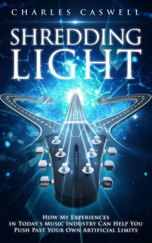 Cover of the book Shredding Light by Glenn L Erickson
