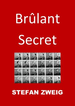 Cover of the book Brûlant Secret by Jules Verne