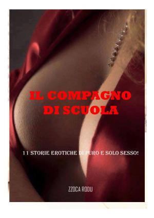 Cover of the book IL COMPAGNO DI SCUOLA by Fabienne Dubois