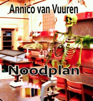 Cover of the book NOODPLAN by Annico van Vuuren, Lukas van Vuuren