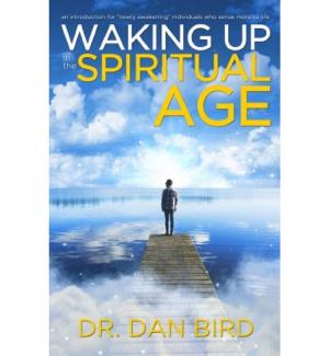 Cover of the book Waking Up In The Spiritual Age by Kathryn & Patrick Andries