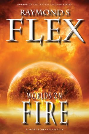 Cover of the book Worlds On Fire by AV Iain