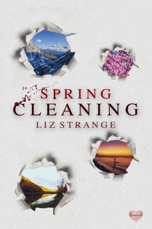 Cover of the book Spring Cleaning by Diana DeRicci