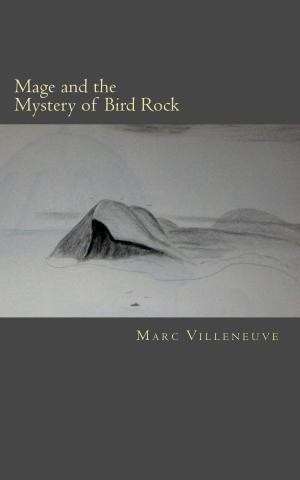 Cover of the book Mage and the Mystery of Bird Rock by Jasmin Reed