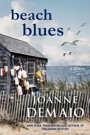 Book cover of Beach Blues