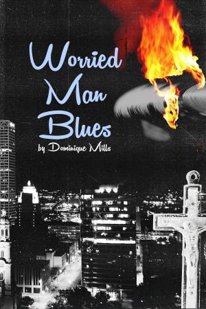 Cover of the book Worried Man Blues by David LaGraff