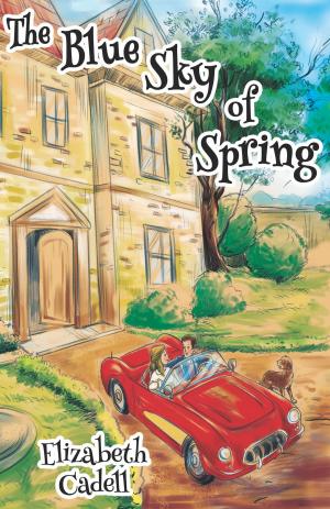 Book cover of The Blue Sky of Spring