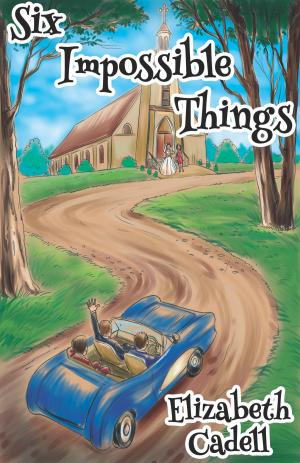 Cover of the book Six Impossible Things by Sylvia Andrew