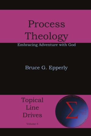 Cover of Process Theology