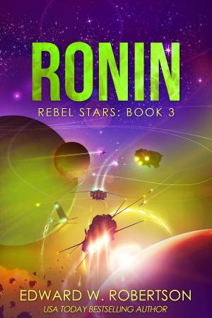Cover of the book Ronin by Jacob Seykans