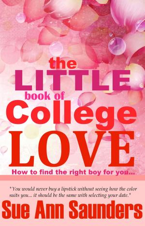 Book cover of The Little Book of College Love