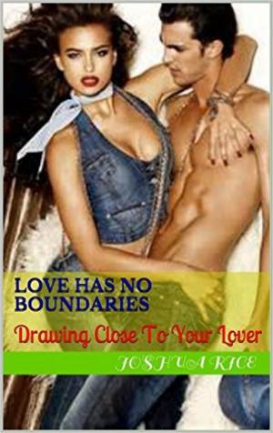 Cover of the book Love Has No Boundaries by Laura Marie Altom