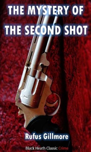 bigCover of the book The Mystery of the Second Shot by 