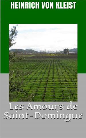 Book cover of Les Amours de Saint-Domingue