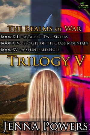 Cover of The Realms of War Trilogy 5