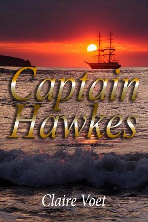 bigCover of the book Captain Hawkes by 