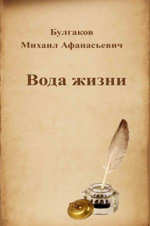 Cover of the book Вода жизни by Richard Burton