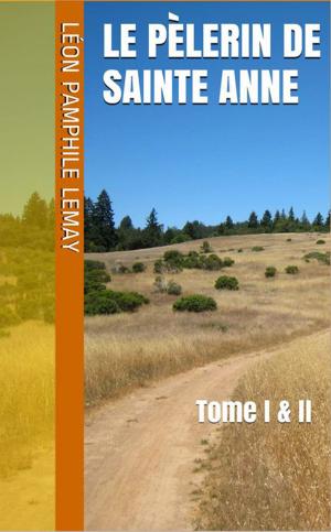 Cover of the book Le Pèlerin de Sainte Anne by Robert Blair Kaiser