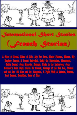 Book cover of International Short Stories (French Stories)