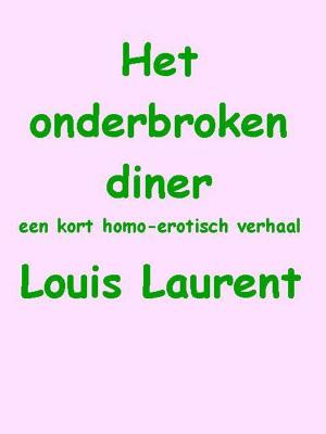 Cover of the book Het onderbroken diner by J Rocci
