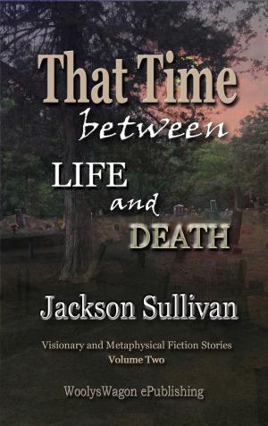 Cover of the book That Time between LIFE and DEATH V2 by Allison Shoemaker