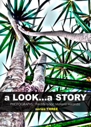Cover of the book a Look... a Story by Vladimir Burdman Schwarz