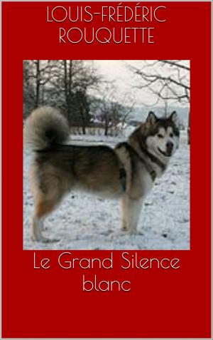 Cover of the book Le Grand Silence blanc by Théophile Gautier