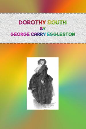 Book cover of Dorothy South