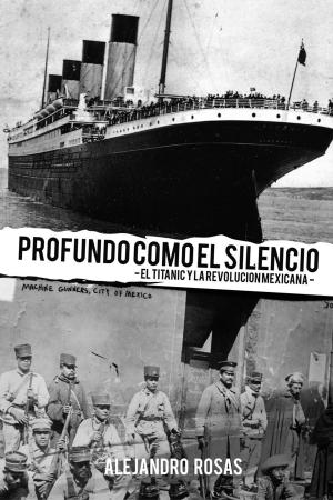 Book cover of Profundo como el silencio