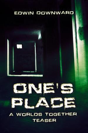 Cover of the book One's Place by Patria L. Dunn (Patria Dunn-Rowe)