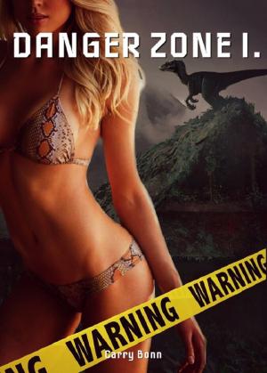 Cover of the book Danger Zone I. by Elisa Artemide