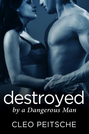 Book cover of Destroyed by a Dangerous Man