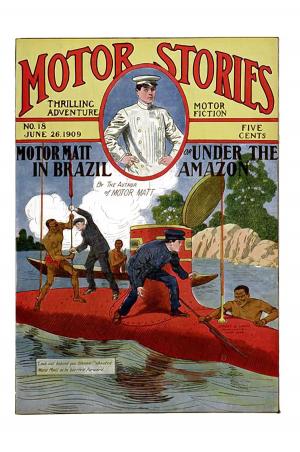 Book cover of Motor Matt in Brazil