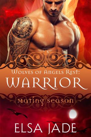 Cover of the book Warrior by Elsa Jade