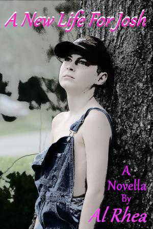 bigCover of the book A New Life For Josh by 