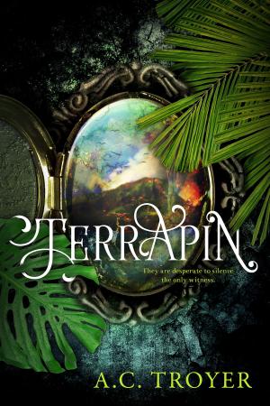 Cover of the book Terrapin by Denise Jaden