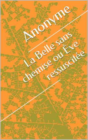 Cover of the book La Belle sans chemise ou Ève ressuscitée by Jackson Gregory