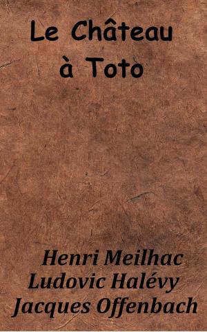 Cover of the book Le Château à Toto by Anna Piediscalzi