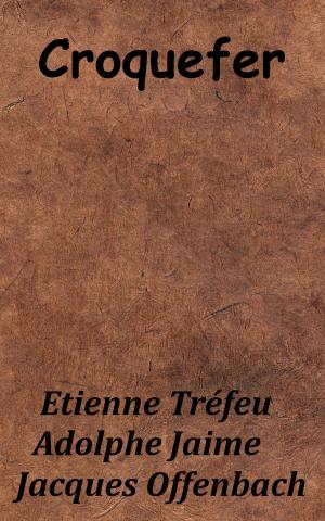 Cover of the book Croquefer by Léonce de Lavergne