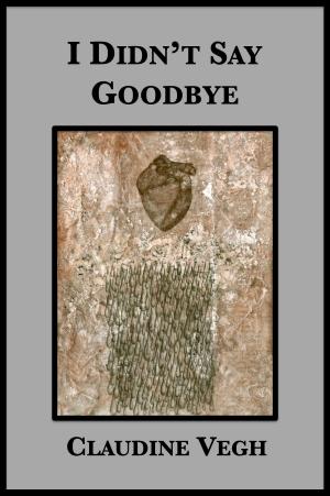 Cover of the book I Didn't Say Goodbye by Helen Epstein